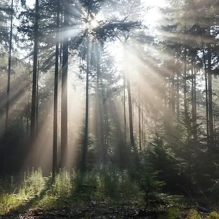 Met Hottub & Sauna | 4 Personen - Valley Villa