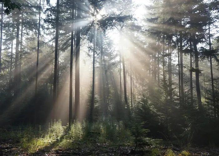 Met Hottub & Sauna | 4 Personen - Valley Villa