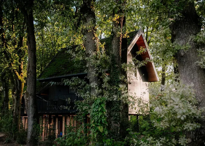 Met Hottub & Sauna | 4 Personen - Valley